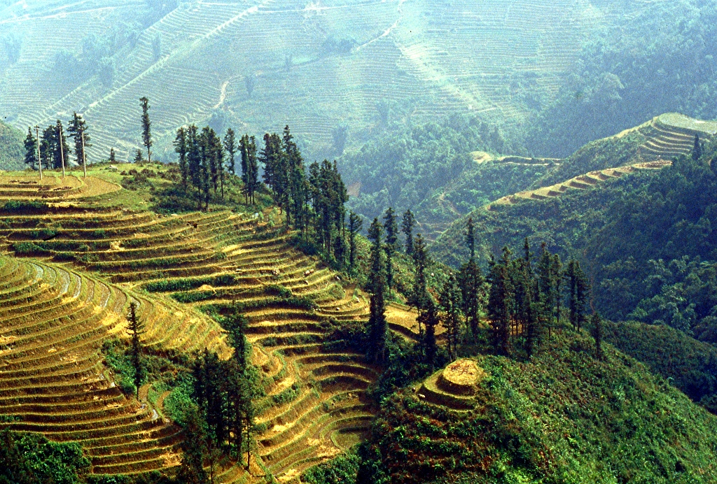 This image for Image Layouts addon